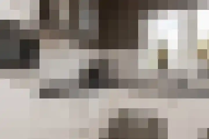 Het Veer 4 Tuil thumbnail 11