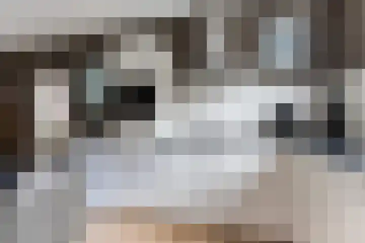 Het Veer 4 Tuil thumbnail 12