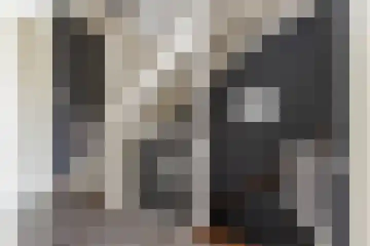 Het Veer 4 Tuil thumbnail 29