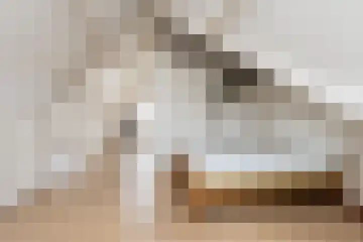 Het Veer 4 Tuil thumbnail 35