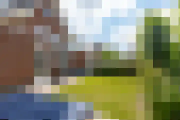 Het Veer 4 Tuil thumbnail 40