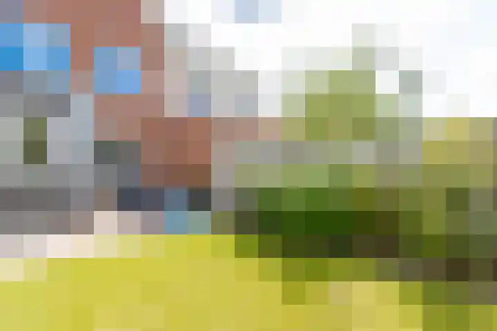 Het Veer 4 Tuil thumbnail 42
