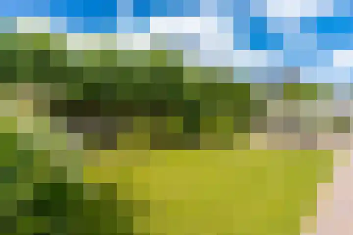 Het Veer 4 Tuil thumbnail 47