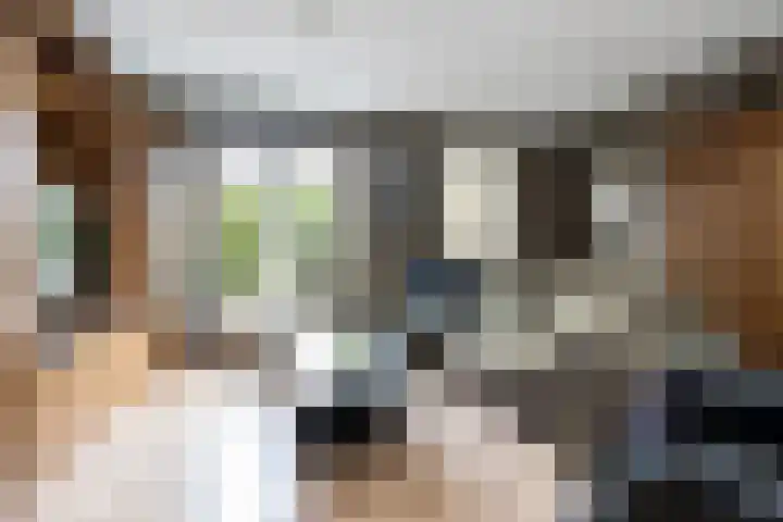Het Veer 4 Tuil thumbnail 5