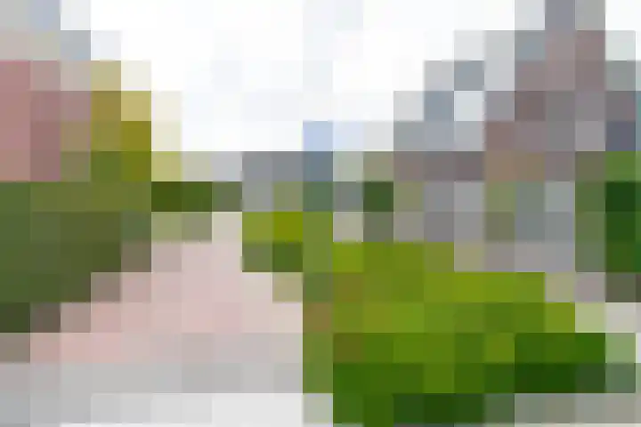Het Veer 4 Tuil thumbnail 50