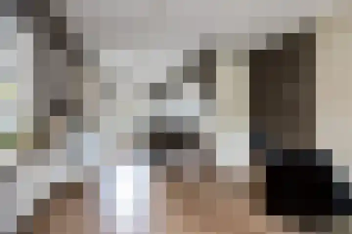 Het Veer 4 Tuil thumbnail 8