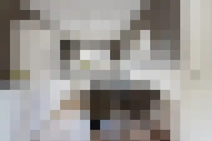 Het Veer 4 Tuil thumbnail 9