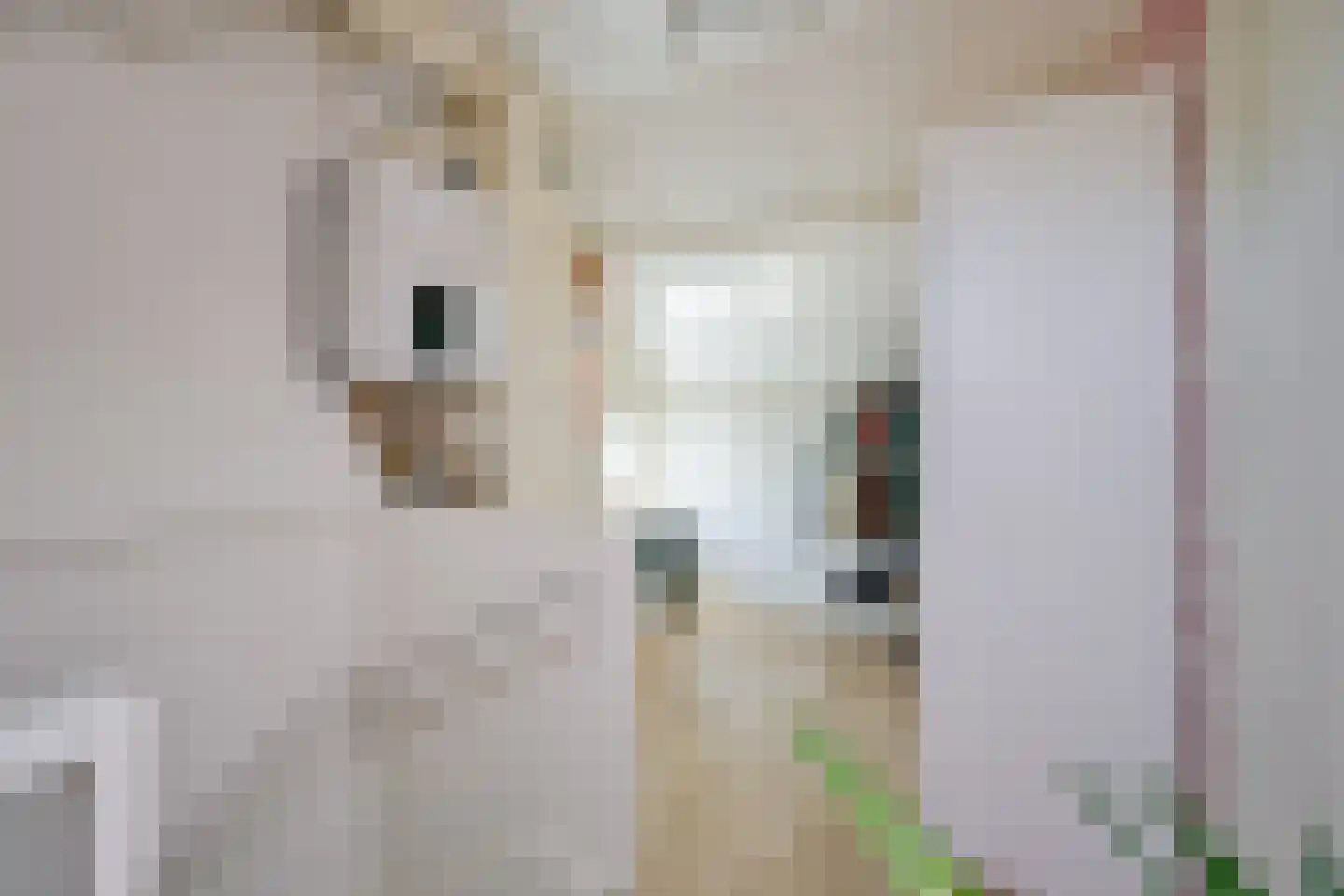 Het Veer 41 Avenhorn thumbnail 23