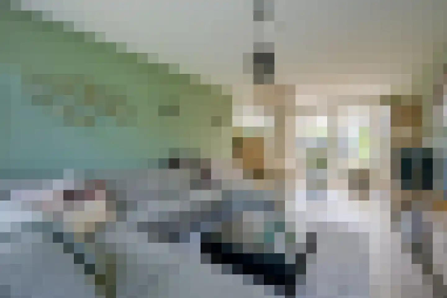 Het Veer 41 Avenhorn thumbnail 4