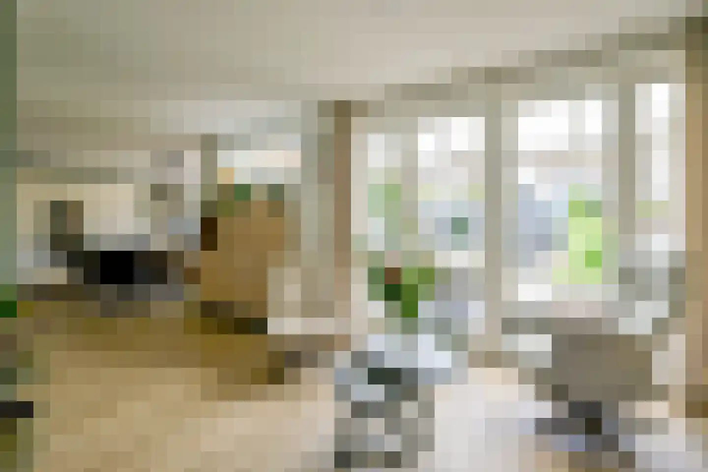 Het Veer 41 Avenhorn thumbnail 7