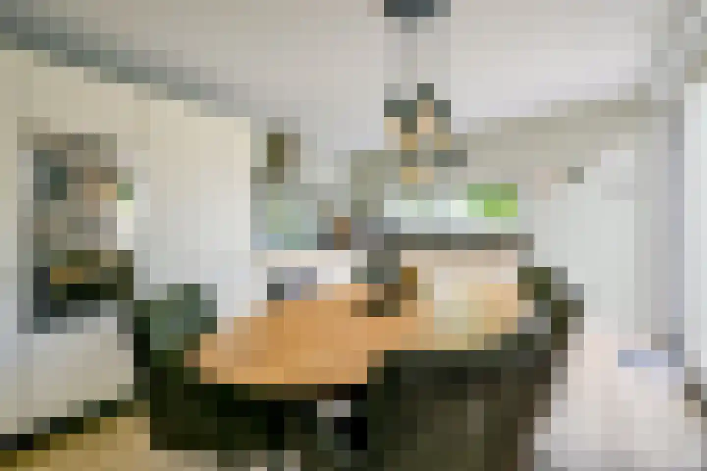Het Veer 41 Avenhorn thumbnail 8
