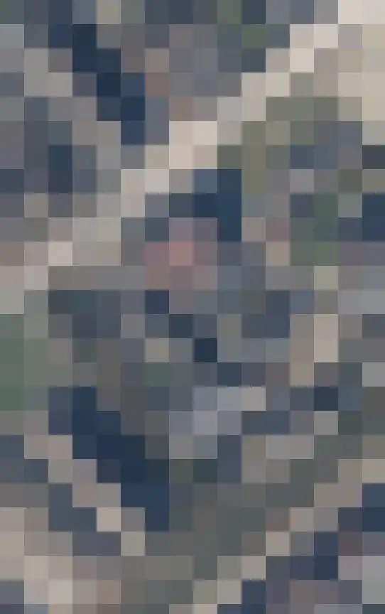 Het Veer 70 J Avenhorn thumbnail 35