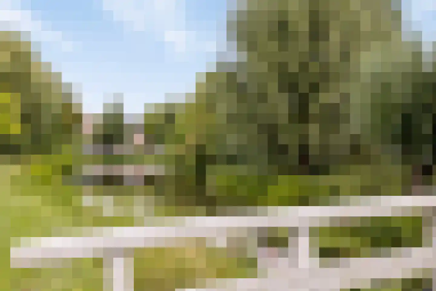 Het Veer 75 Avenhorn thumbnail 30