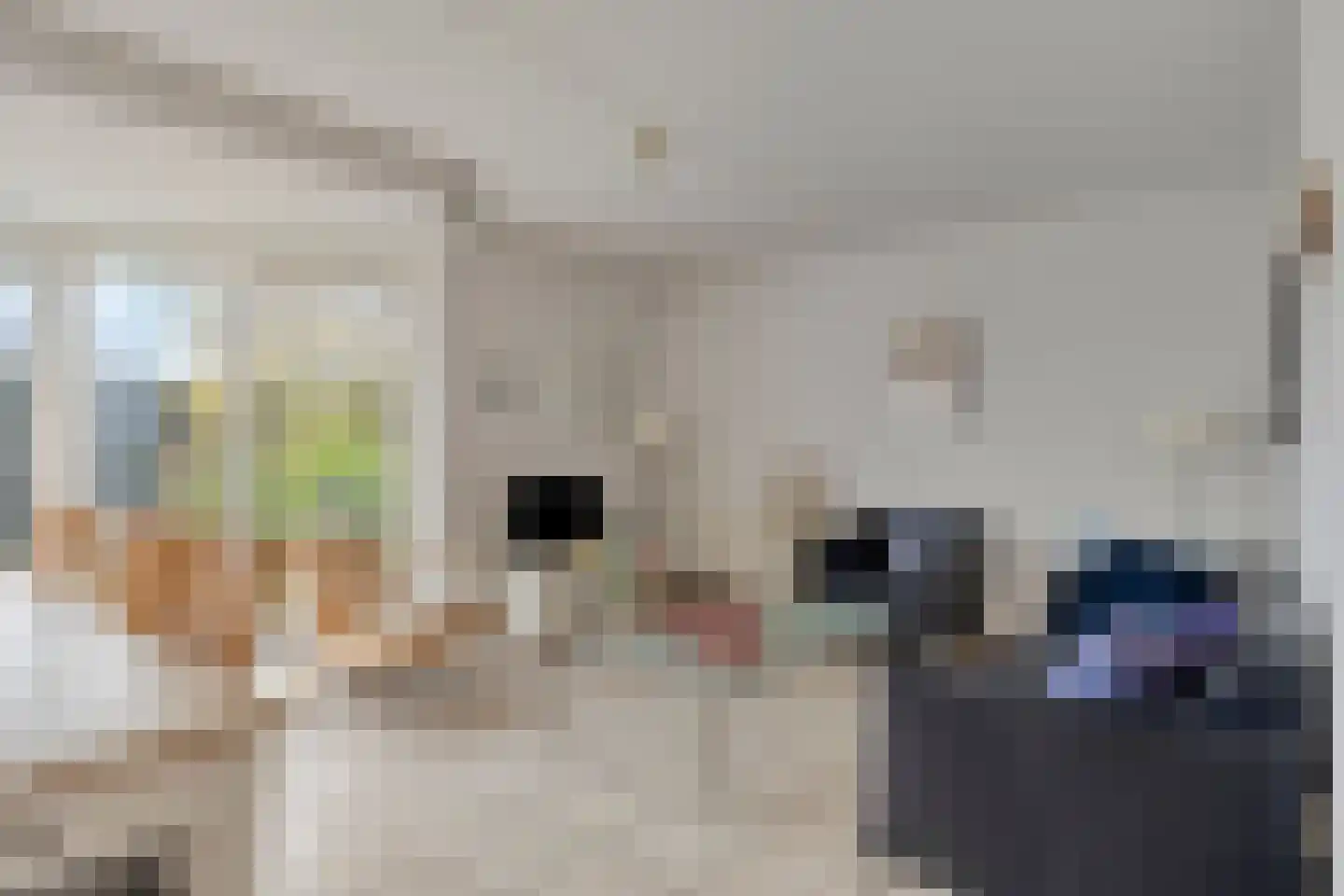 Het Veerse Bree 17 Vrouwenpolder thumbnail 12