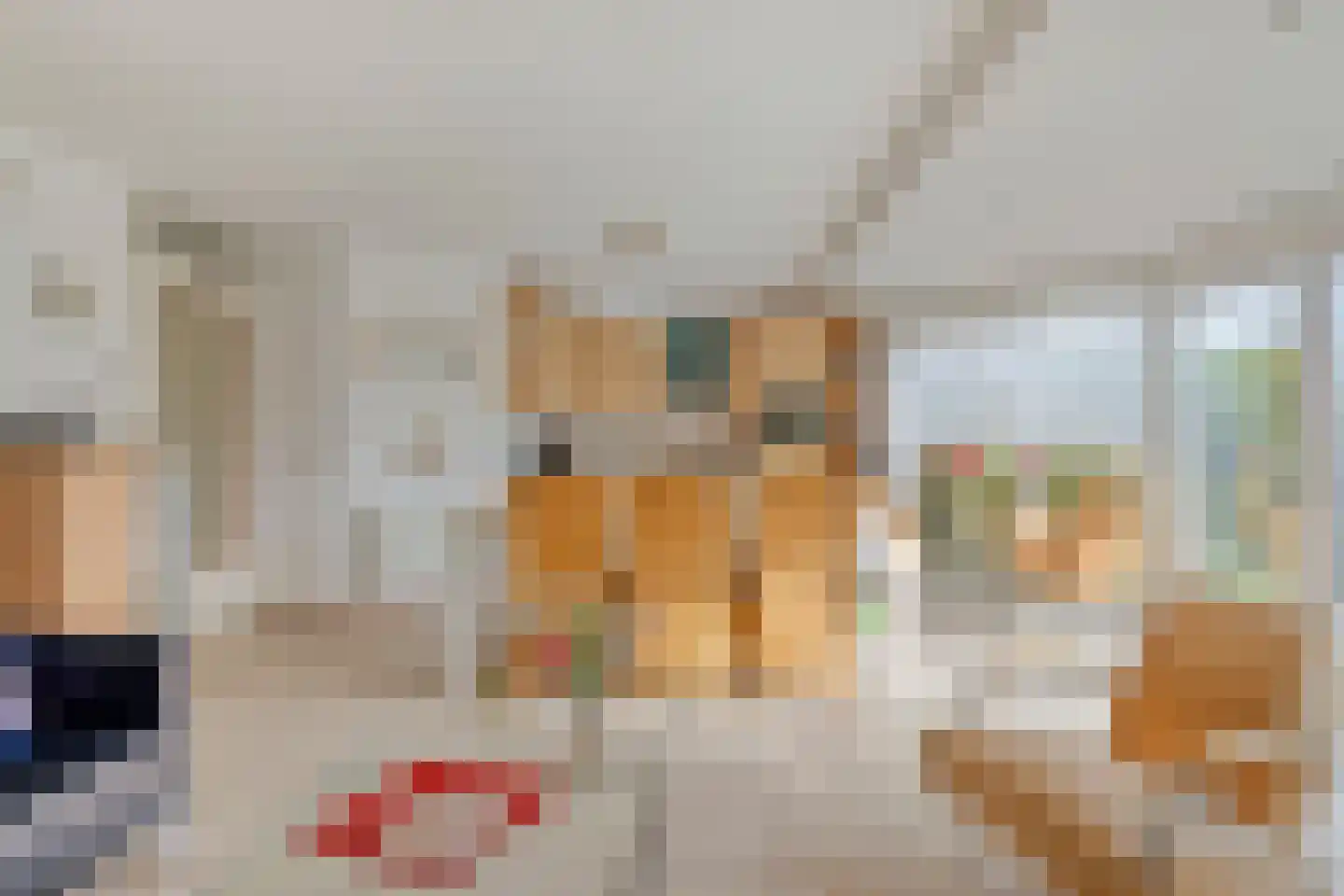 Het Veerse Bree 17 Vrouwenpolder thumbnail 14