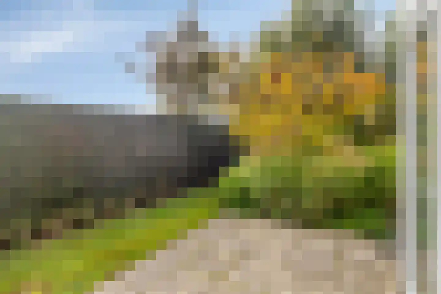 Het Veerse Bree 17 Vrouwenpolder thumbnail 26