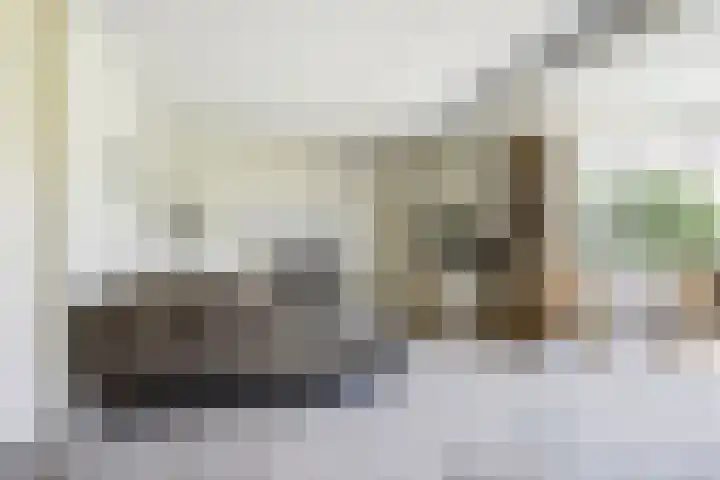 Het Veerse Bree 21 Vrouwenpolder thumbnail 10
