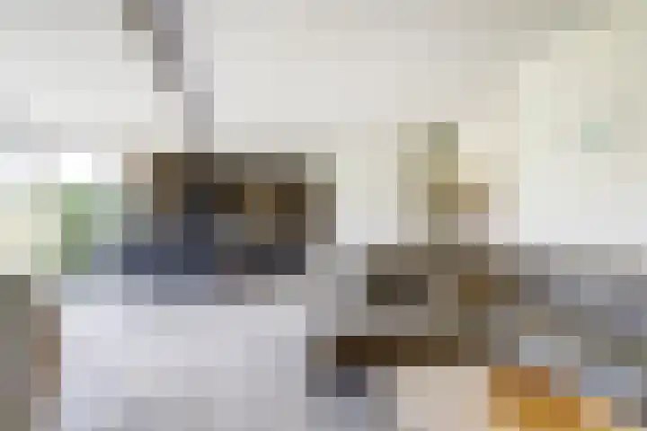 Het Veerse Bree 21 Vrouwenpolder thumbnail 11