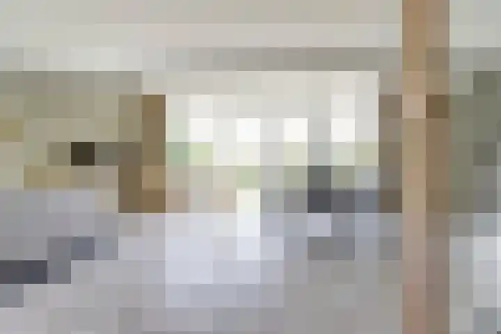 Het Veerse Bree 21 Vrouwenpolder thumbnail 12