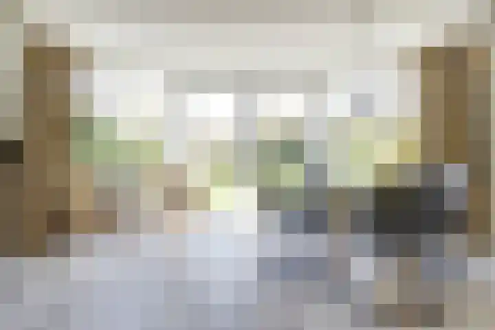 Het Veerse Bree 21 Vrouwenpolder thumbnail 13