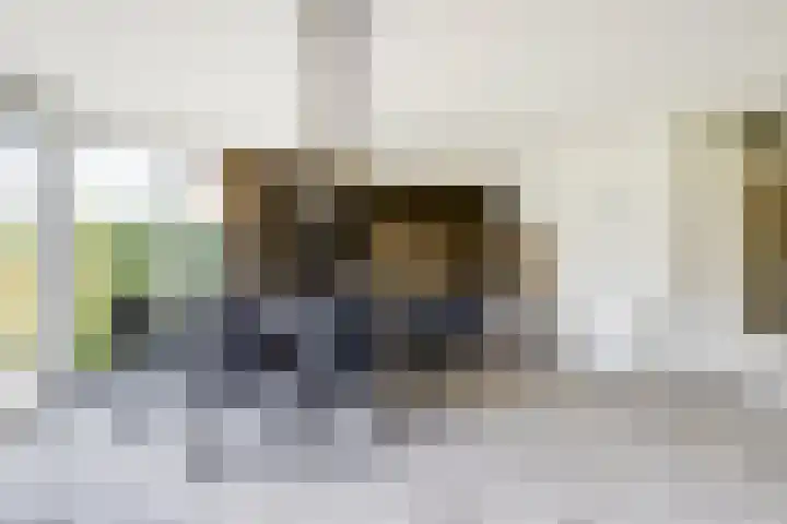 Het Veerse Bree 21 Vrouwenpolder thumbnail 14