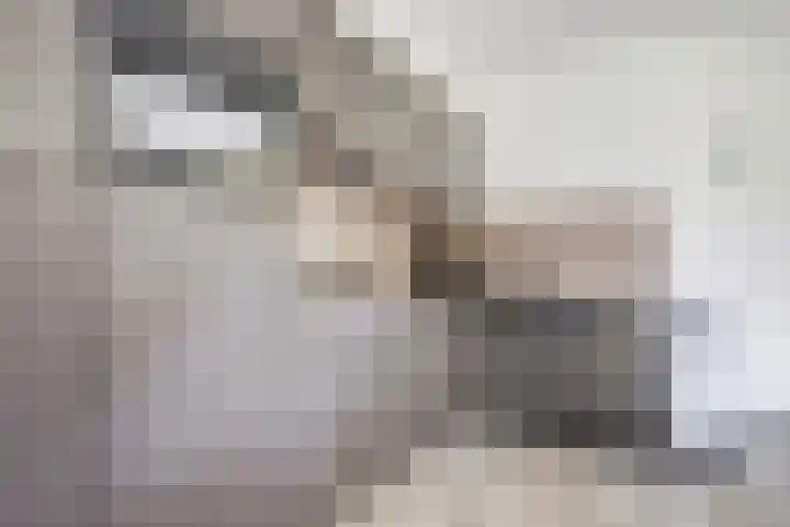 Het Veerse Bree 21 Vrouwenpolder thumbnail 17