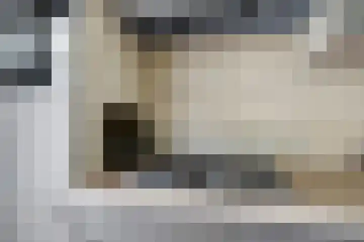 Het Veerse Bree 21 Vrouwenpolder thumbnail 18