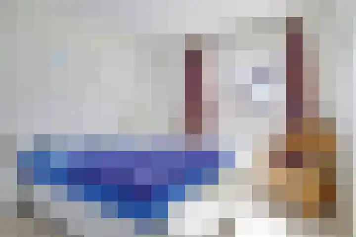 Het Veerse Bree 21 Vrouwenpolder thumbnail 19