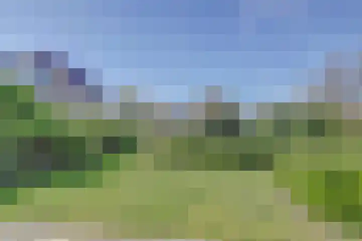 Het Veerse Bree 21 Vrouwenpolder foto 2