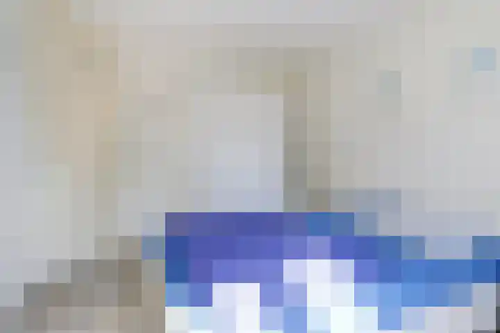 Het Veerse Bree 21 Vrouwenpolder thumbnail 20