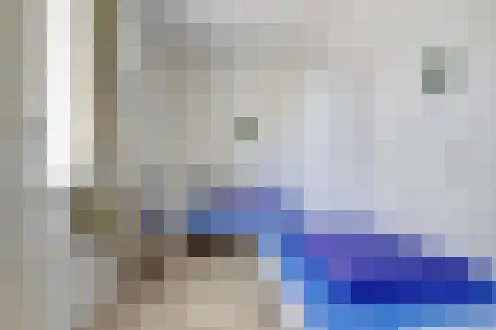 Het Veerse Bree 21 Vrouwenpolder thumbnail 21