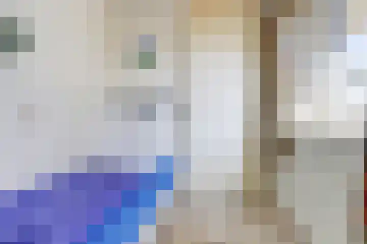 Het Veerse Bree 21 Vrouwenpolder thumbnail 22