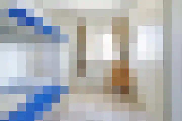 Het Veerse Bree 21 Vrouwenpolder thumbnail 24