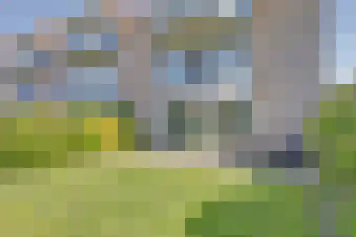 Het Veerse Bree 21 Vrouwenpolder thumbnail 29