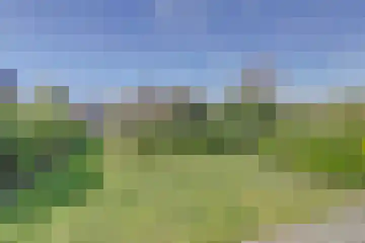 Het Veerse Bree 21 Vrouwenpolder thumbnail 30