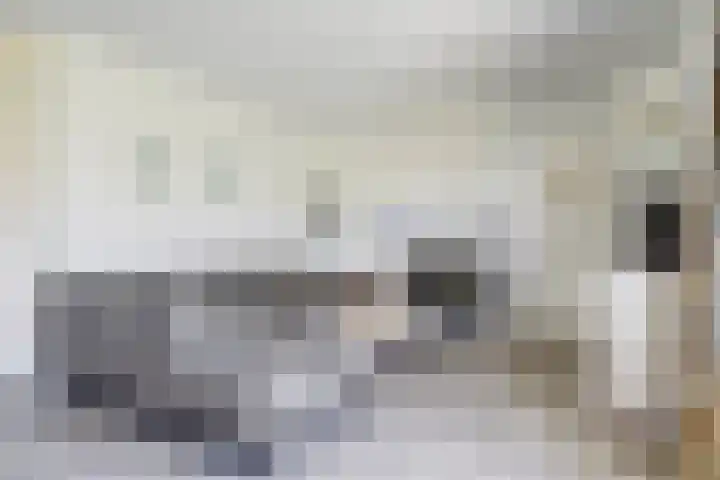 Het Veerse Bree 21 Vrouwenpolder thumbnail 8