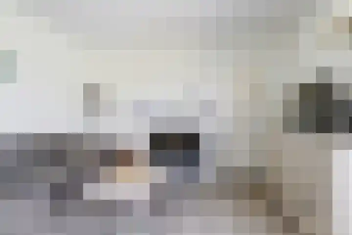 Het Veerse Bree 21 Vrouwenpolder thumbnail 9
