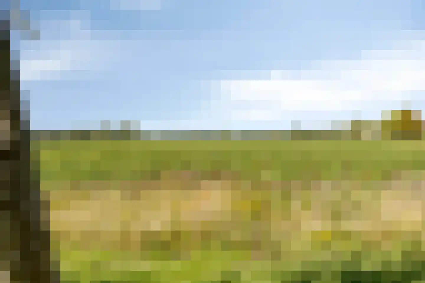 Het Veerse Bree 29 Vrouwenpolder thumbnail 32