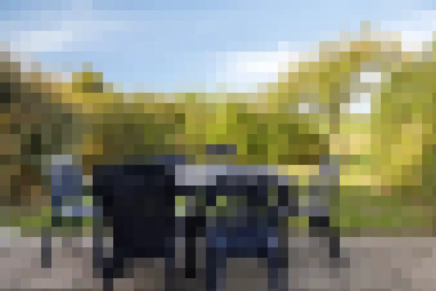 Het Veerse Bree 29 Vrouwenpolder thumbnail 33