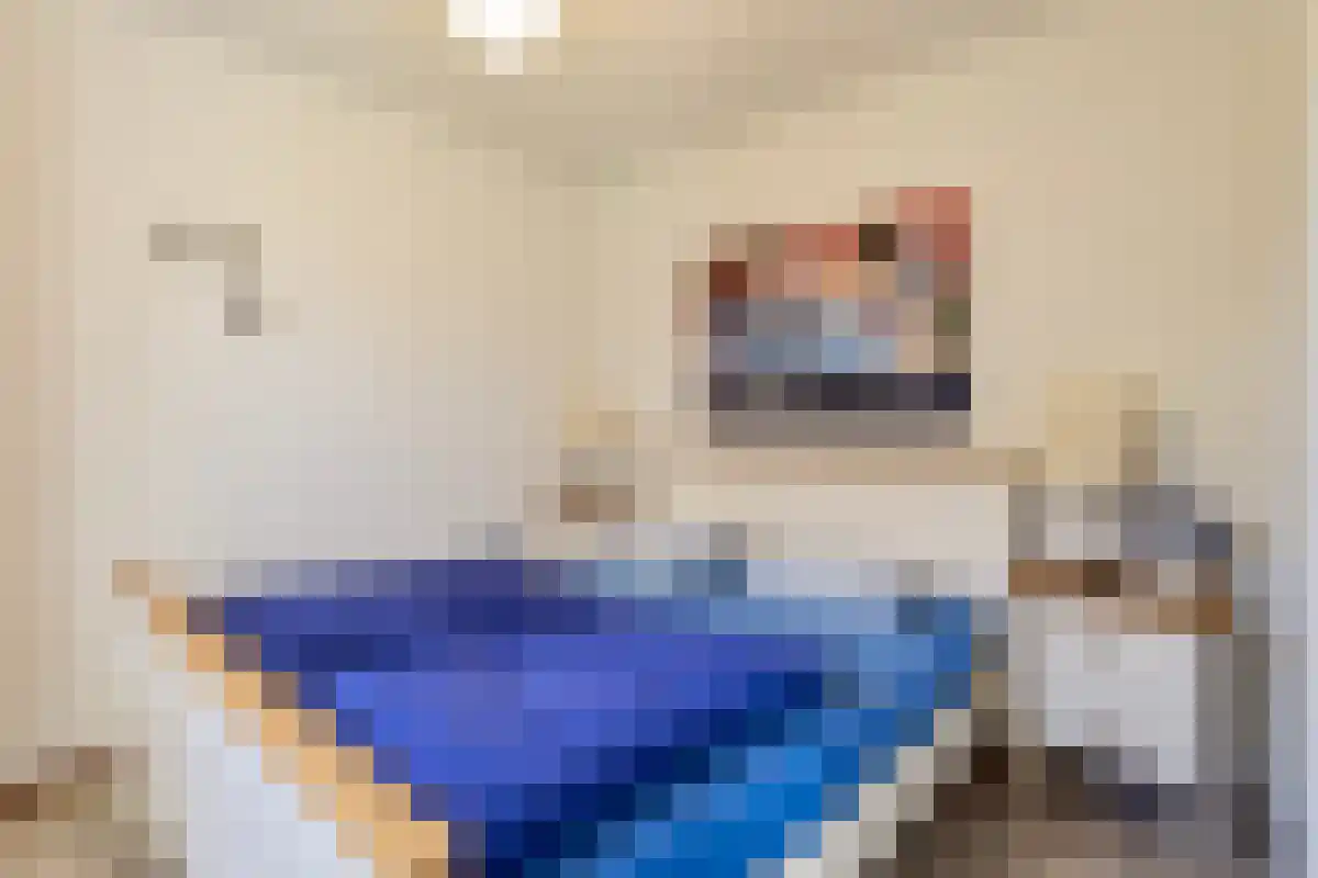 Het Veerse Bree 32 Vrouwenpolder thumbnail 13