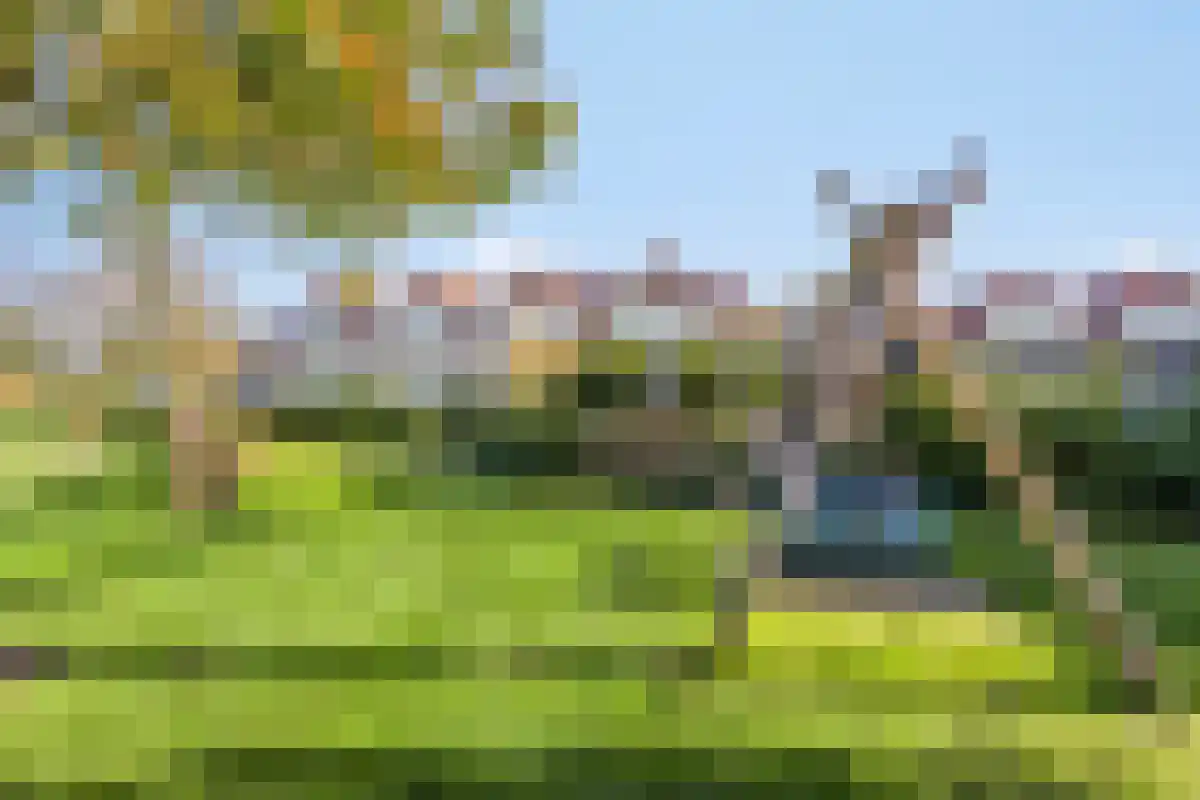 Het Veerse Bree 32 Vrouwenpolder thumbnail 5