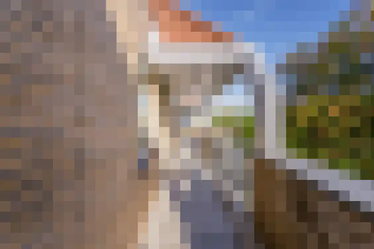Het Veerse Bree 32 Vrouwenpolder thumbnail 6