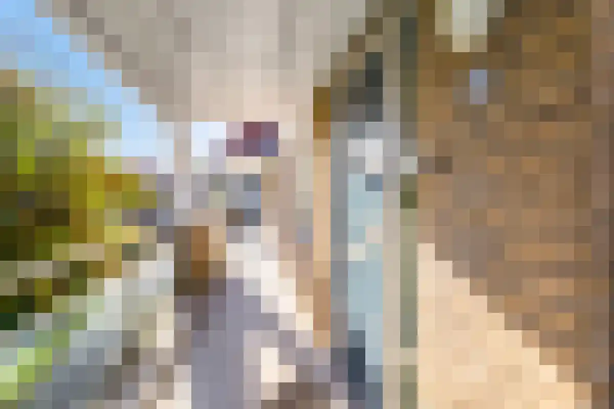 Het Veerse Bree 32 Vrouwenpolder thumbnail 7