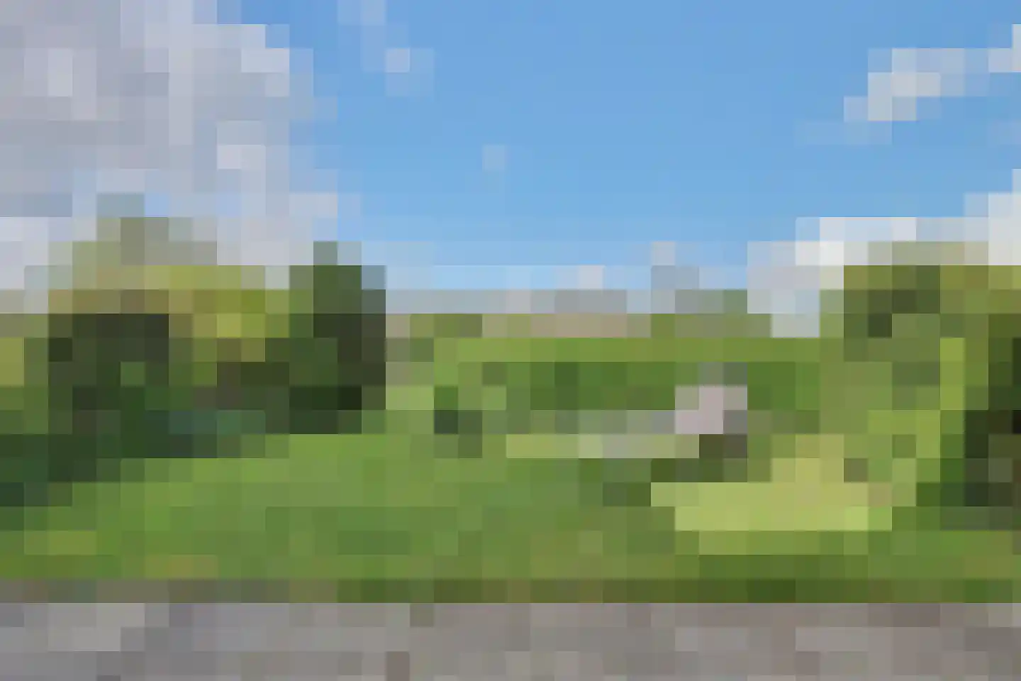 Het Veerse Bree 4 Vrouwenpolder thumbnail 22