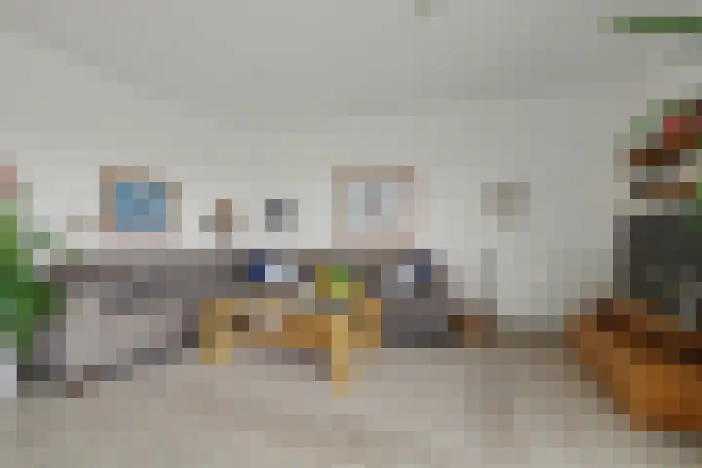 Het Veerse Bree 4 Vrouwenpolder thumbnail 7