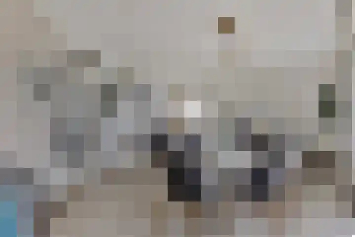 Het Veerse Bree 43 Vrouwenpolder thumbnail 12