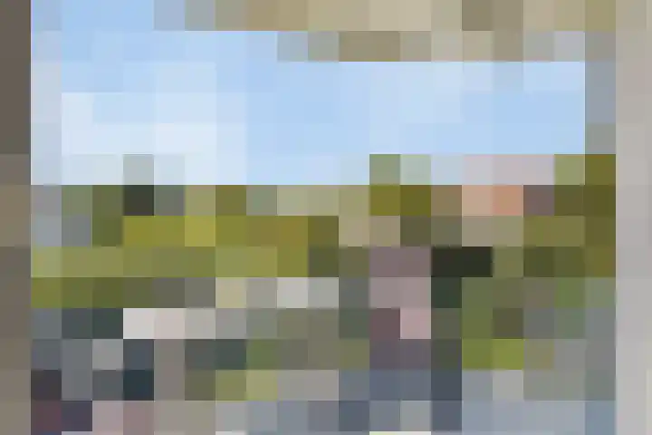 Het Veerse Bree 43 Vrouwenpolder thumbnail 18
