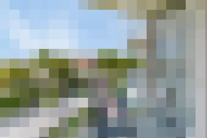 Het Veerse Bree 43 Vrouwenpolder thumbnail 20