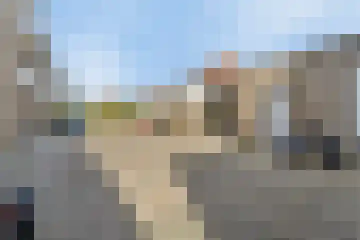Het Veerse Bree 43 Vrouwenpolder thumbnail 21