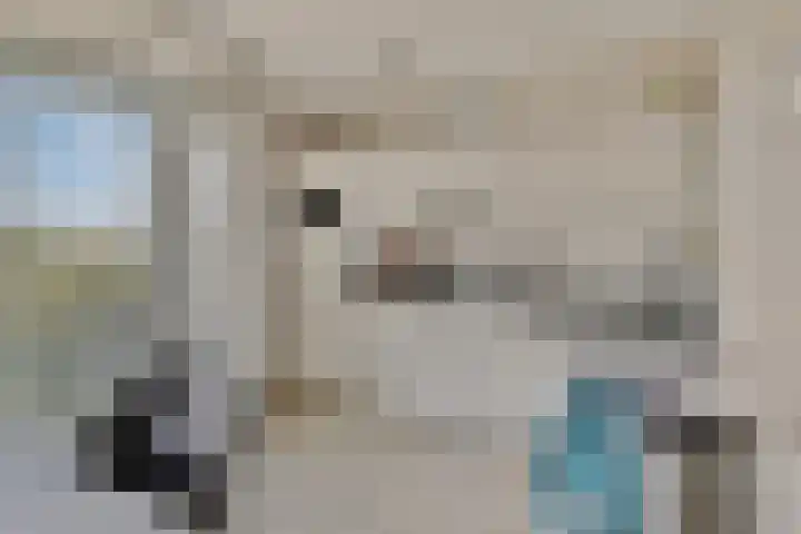 Het Veerse Bree 43 Vrouwenpolder thumbnail 4